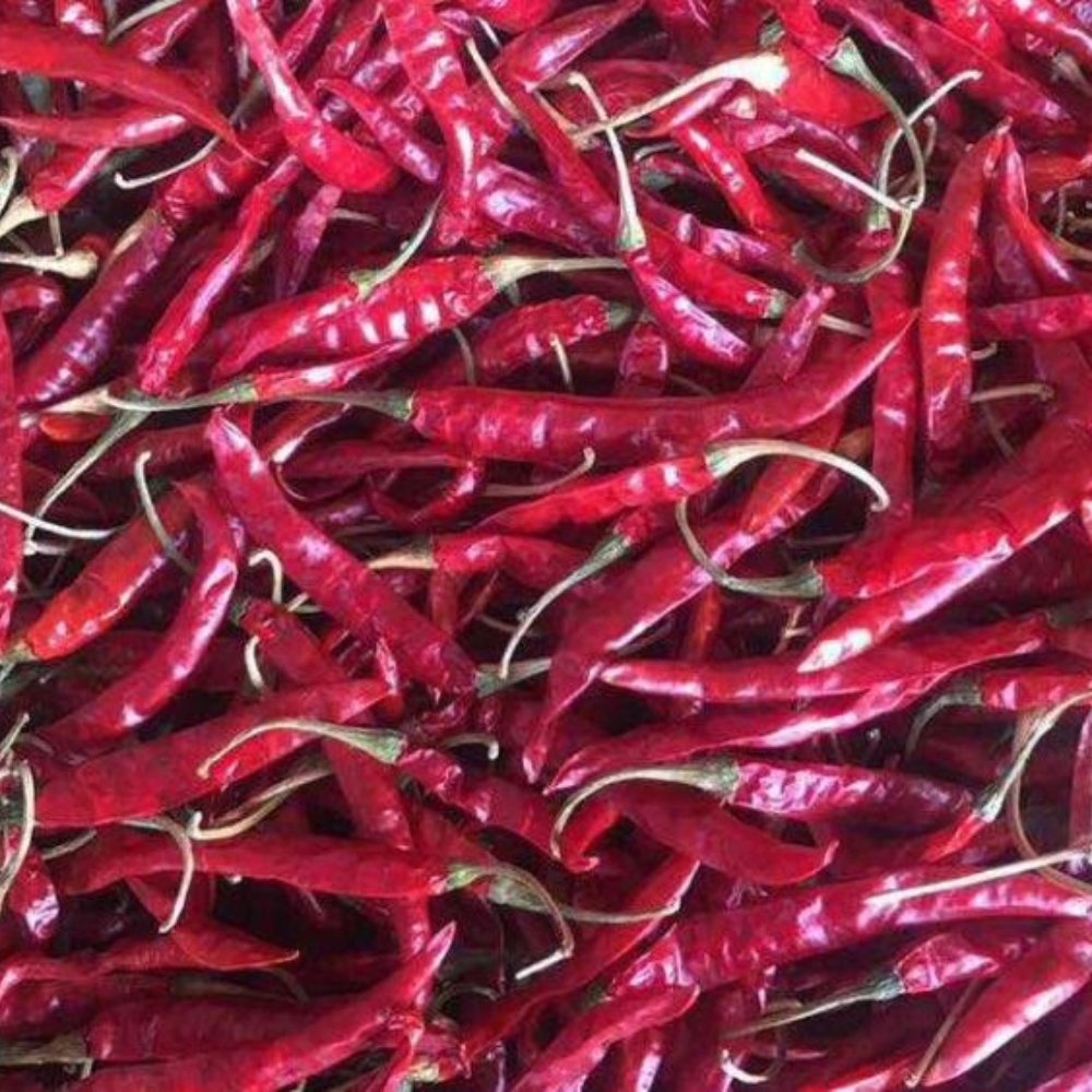 S4 Red Chilli - Vistara Vertex Global